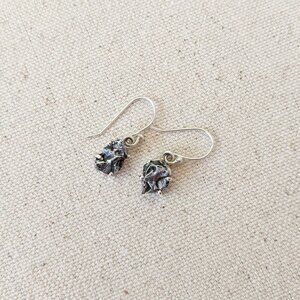 Campo Del Cielo meteorite earrings